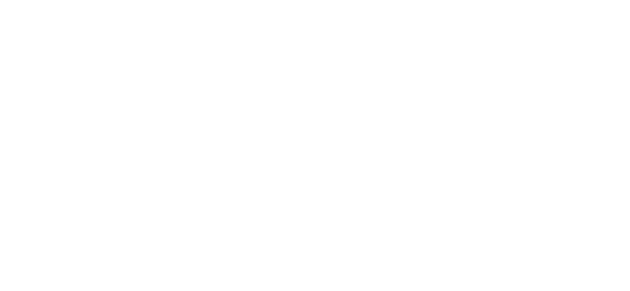 Liverpool Ladies Network